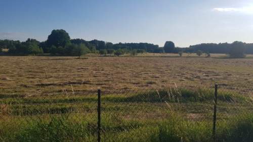Działka budowlana na sprzedaż, 1100 m2, Sarbsk