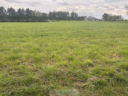 Działka budowlano-zagrodowa  Teodorów, gm. Skórzec