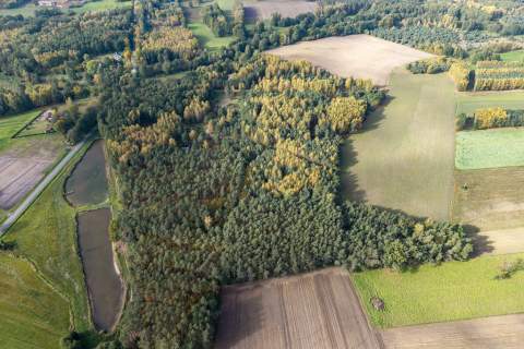 Działki rekreacyjne 30 minut od Łodzi