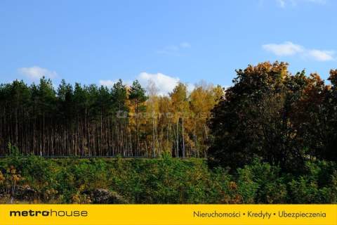 Działka inwestycyjna Toruń, MPZP usługi, uzbrojona