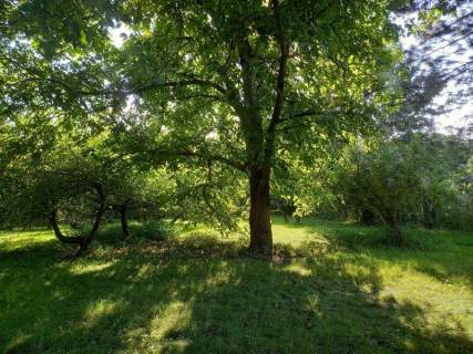 Dom wolnostojący 170m2, 3 kondyg, działka 3030m2, z dużym bu