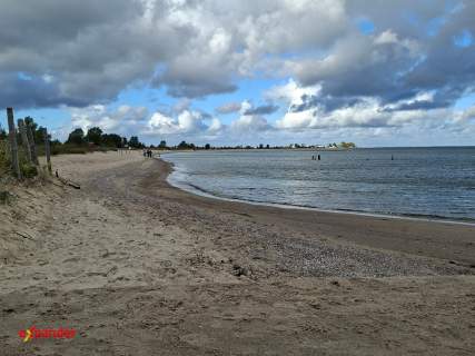 plaża 150m Molo Klif Bliźniak z ogrodem