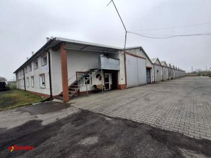 Obiekt produkcyjny/ Pieczakkarnia / Kurniki / Strusy k, Siedlec