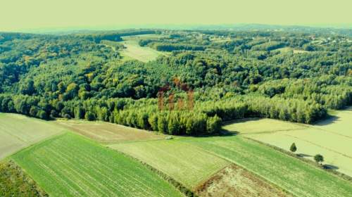 LAS I GRUNTY NA SPRZEDAŻ GNOJNICA, GMINA ROPCZYCE 1,58 HA 
