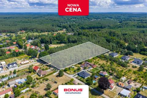 Działka leśna w Szczecinie