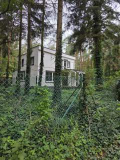 Dom na wynajem, od zaraz, po generalnym remoncie, ciepły