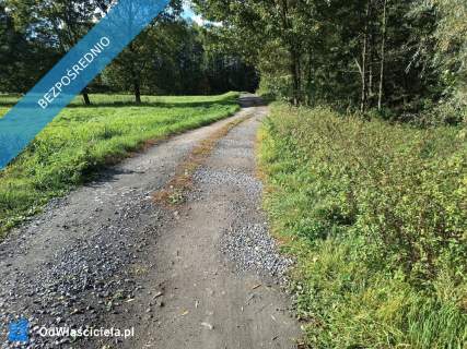 Skoczów Dolny Bór - duża działka budowlana w urokliwym miejscu