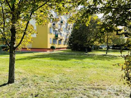 Jak nowe w stylu glamour, parter, bądź pierwszy