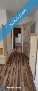 Do wynajęcia mieszkanie 2 pokoje z balkonem 49m2 Os. Tysiąclecia...