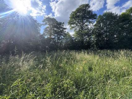 Działka budowlana na sprzedaż, 1734 m2, Rybno Wielkie