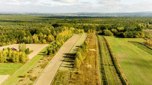 Działka rolna 71 arów Bidoliny Radłowskie