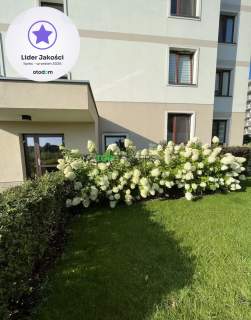 Słoneczne 3 pokoje z balkonem, garaż