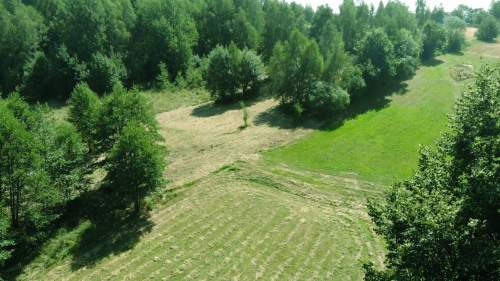 Działka rolna z dopuszczeniem zabudowy zagrodowej 2393 m2