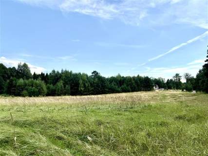 Działka - Stepień Kolonia