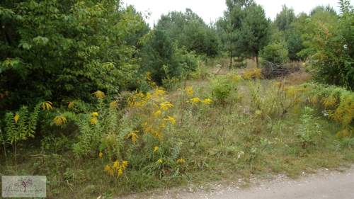 Działka budowlana na sprzedaż, 2220 m2, Stróża