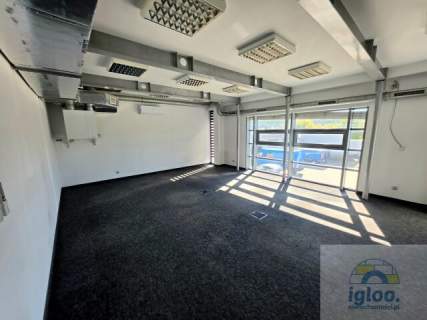 Obiekt Usługowy - Wynajem - Kielce - Białogon - 500m2