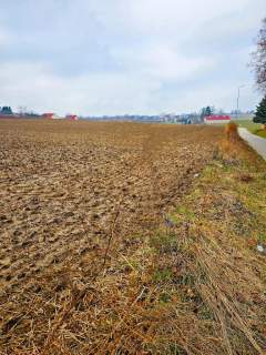 Tomaszowice - działka 20ar położona na wzniesieniu