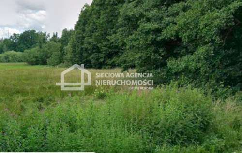Działka 10.800m2 z WZ, Łapino Kartuskie