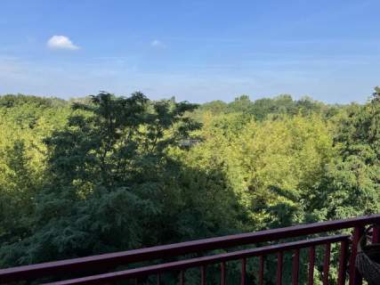 Bielany 77m2 z dużym tarasem wynajmę