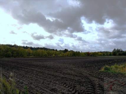 Szczecin, ul. Stary Szlak, działka z WZ, 6901 m2