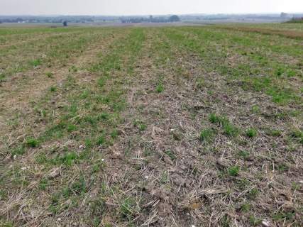 Działka inwestycyjna 4,5 ha bezpośrednio przy S12