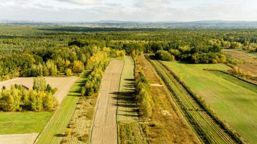 Działka rolna 71 arów Bidoliny Radłowskie