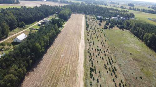 Działka na sprzedaż, 988 m2, Gniezno