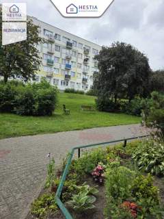 Kameralne 2-pokojowe mieszkanie na 1 piętrze.