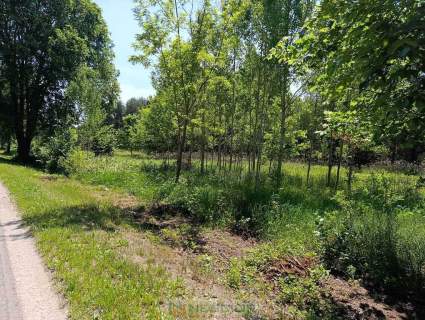 Działki budowlane z warunkami zabudowy 130zł/m2