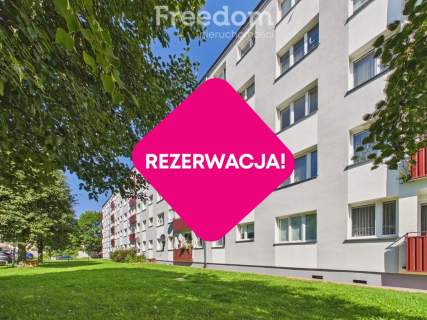 Przytulna kawalerka z oddzielną kuchnią i piwnicą