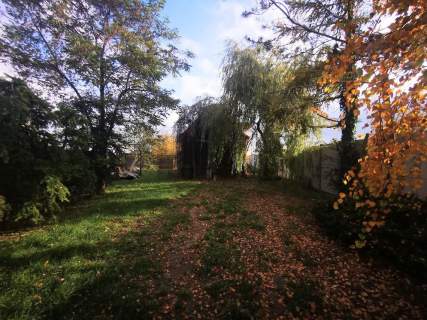 Działka siedliskowa na sprzedaż, 2681 m2, Gniezno