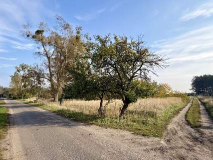 Miękowo Duża działka przy lesie 3 980 m 796 000 zł