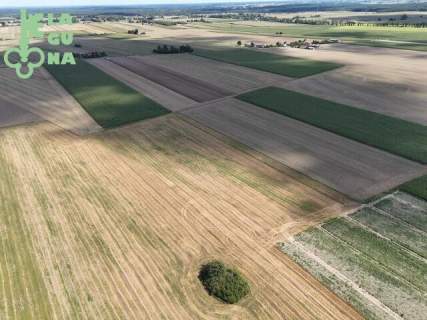 Działka rolna 1,99 ha - Siemianów, gm. Strzelce