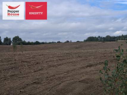 Twoja działka Kaszuby - 40 minut od Trójmiasta