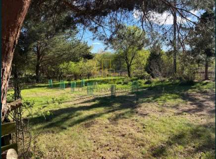 Sulistrowiczki, działka rekreacyjna 1113 m2 i 998 m2