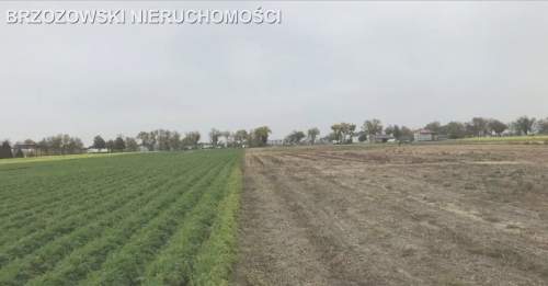 Płochocin, MPZP 49700 m2, usługowa przemysłowa
