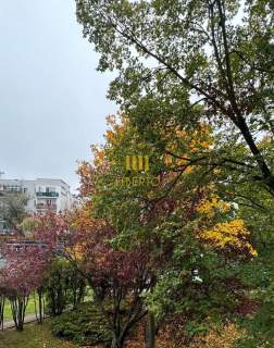 3 pok., Metro Natolin