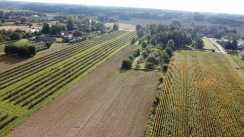 Działka, Motycz, 8.5ar, budownictwo jednorodzinne