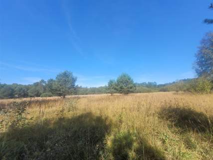 Duża działka 5400 m z potencjałem budowlanym