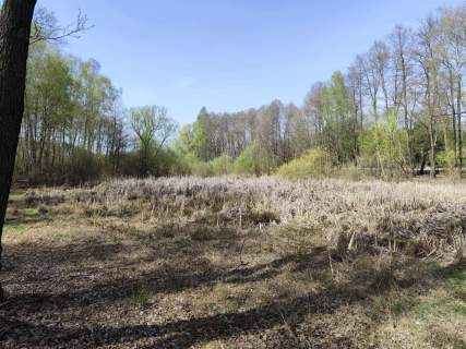Działka budowlana na sprzedaż, 10904 m2, Anielin Swędowski