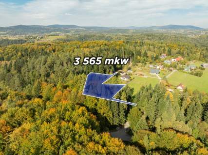 Działka Budowlana z Własnym LASEM 3565 M JORDANÓW