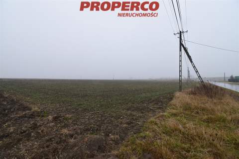 Działka 6200 m2, Potok Mały, gm. Jędrzejów