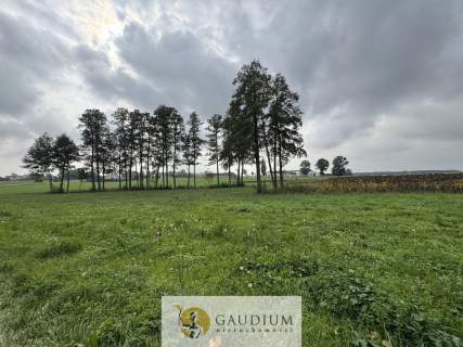 Działka 300 m z warunkami zabudowy   Kozjaty, gm. Topólka
