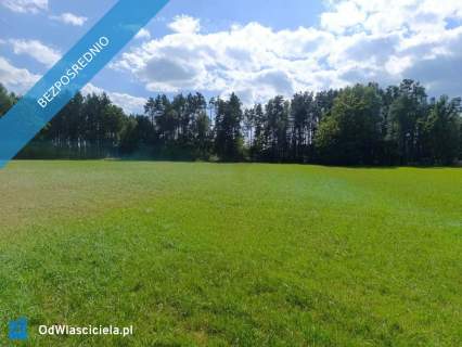 Siedlisko 3,57 ha z zabudowaniami i własnym lasem Siedlików...