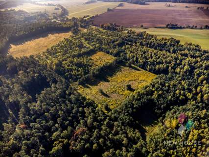 Działka na Mazurach w gminie Grunwald w otoczeniu lasów i jezior
