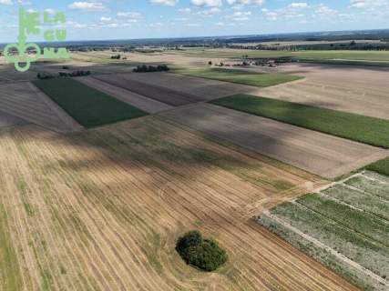 Działka rolna 1,99 ha - Siemianów, gm. Strzelce