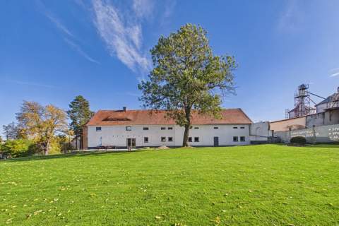 Dom, Warsztat, Hala 800m2