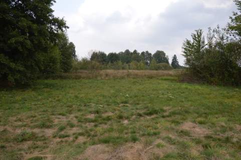 Działka 1.77 ha w Brzeźnicy Leśnej pow. Lubartów.