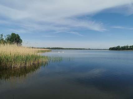 Dom na sprzedaż, 130 m2, Rogowo