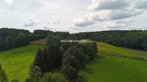 Działka budowlana o powierzchni 30 arów w Brodach